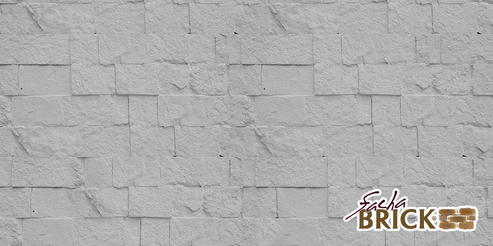 Galar 10 Gris